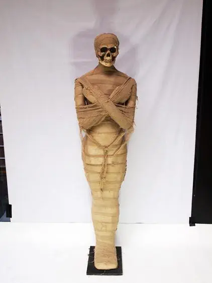 P1011429