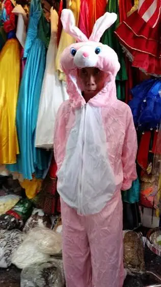 Rabbit Costume